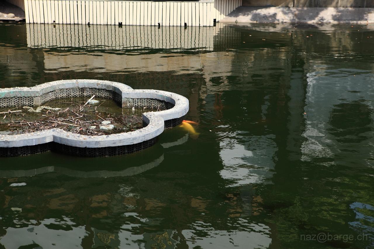 EOS 5D Mark II15_04_20134724.JPG